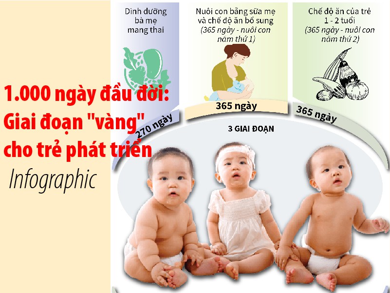 Chăm Sóc Dinh Dưỡng 1000 Ngày Đầu Đời Cho Trẻ